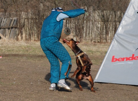 Training in Estonia 30.3 - 1.4. 2007